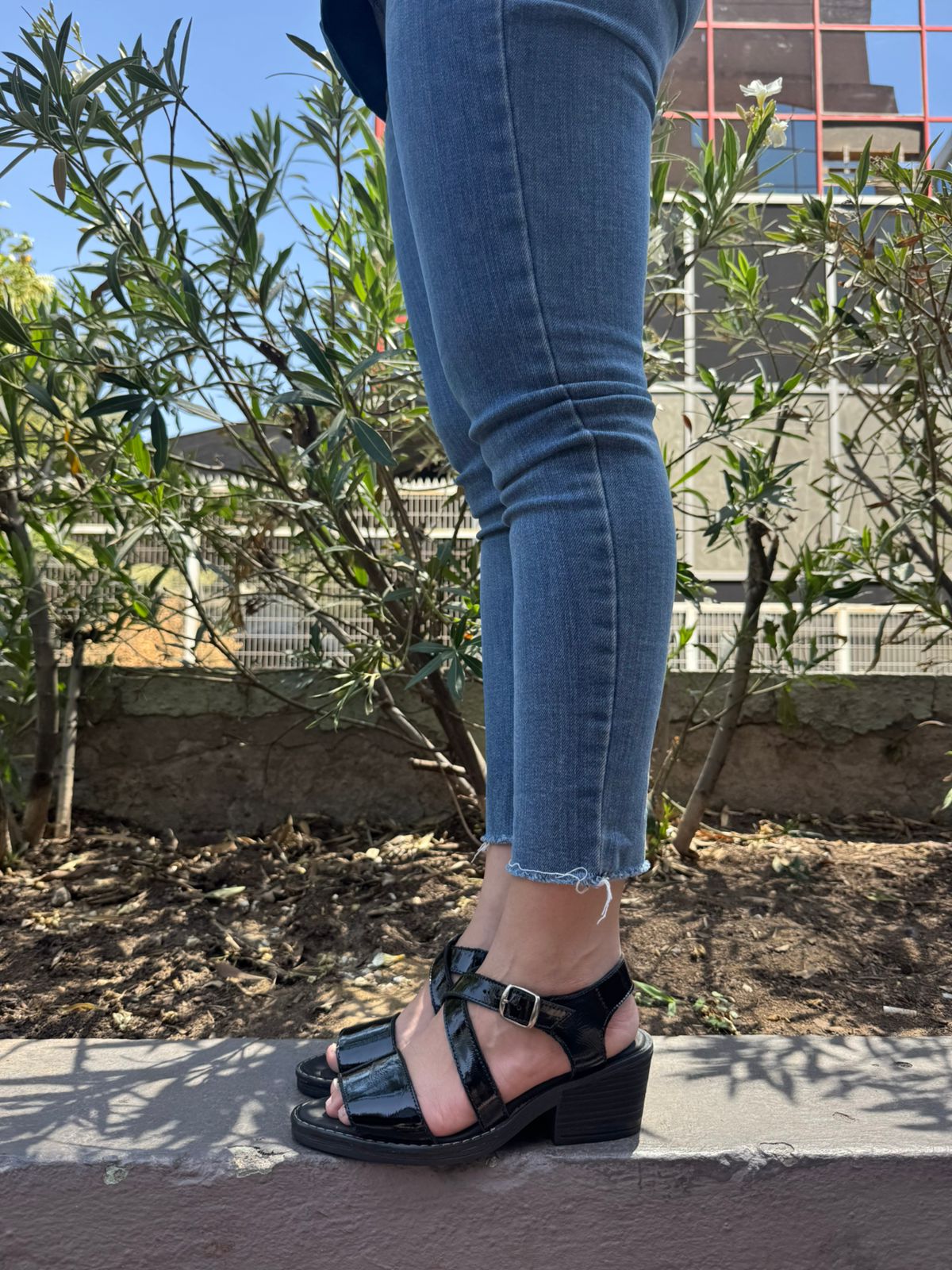 Chalita Alta Amatista
