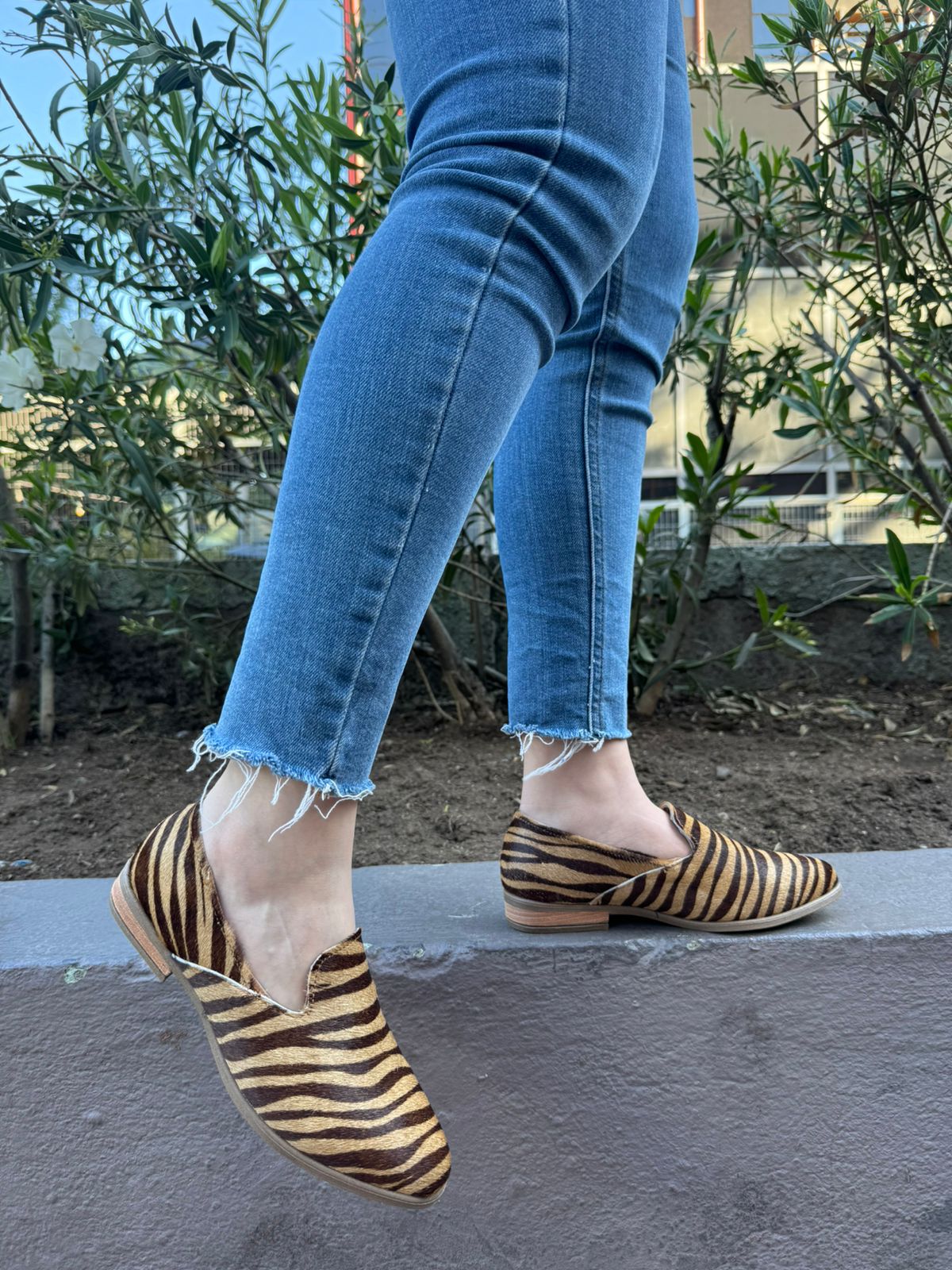 Ofertas Talla 36
