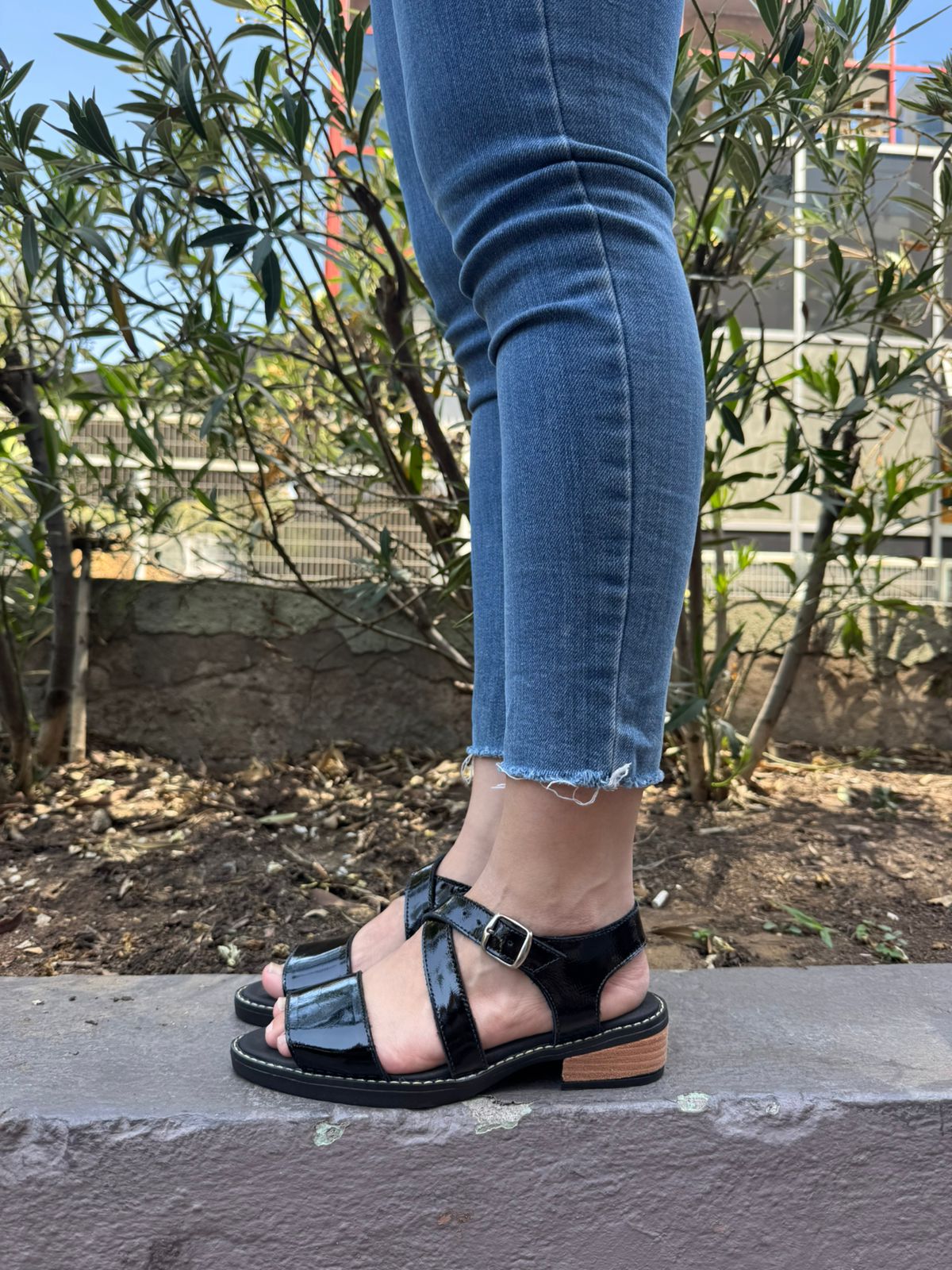 Chalita Baja Amatista
