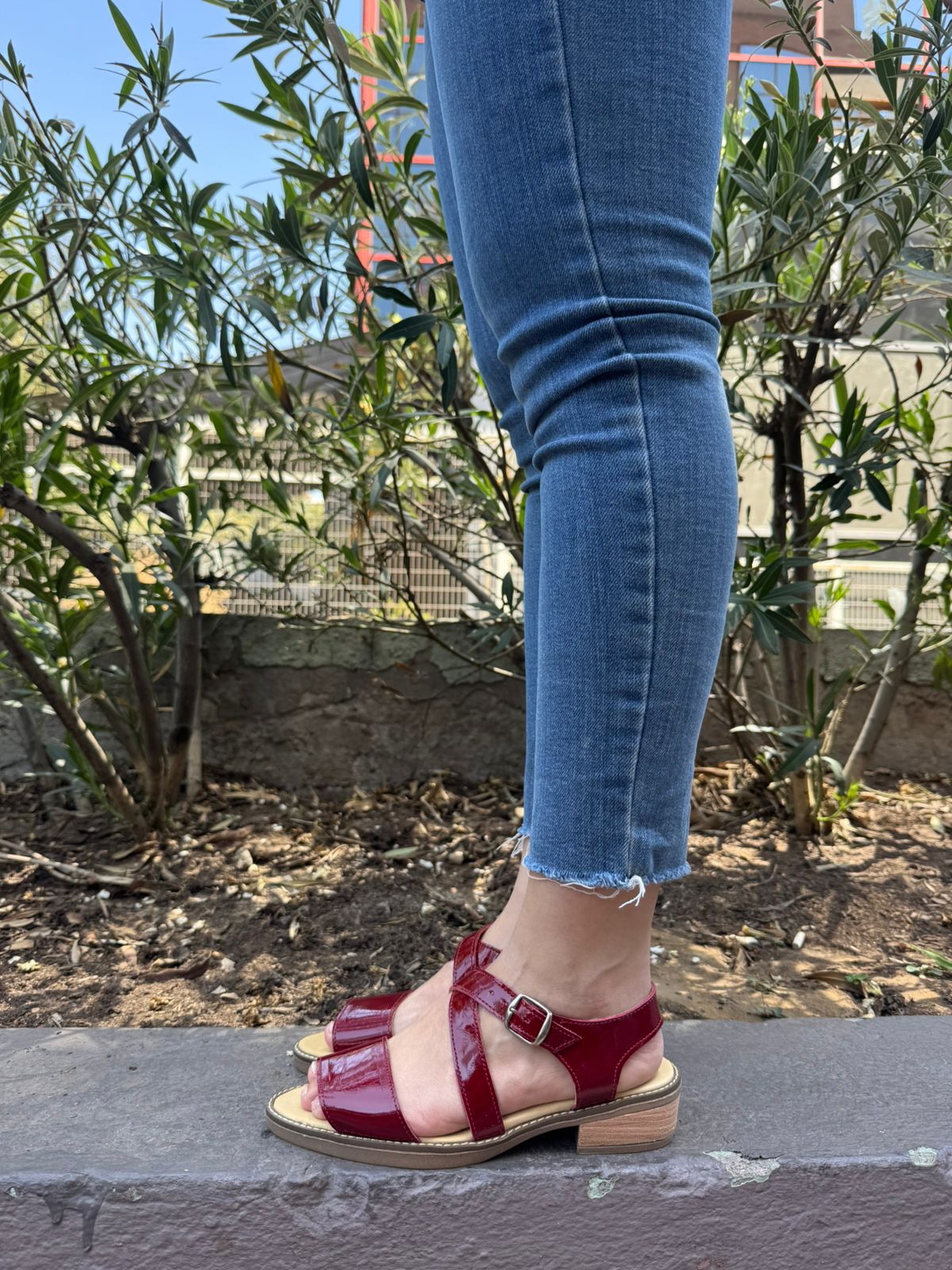 Chalita Baja Amatista