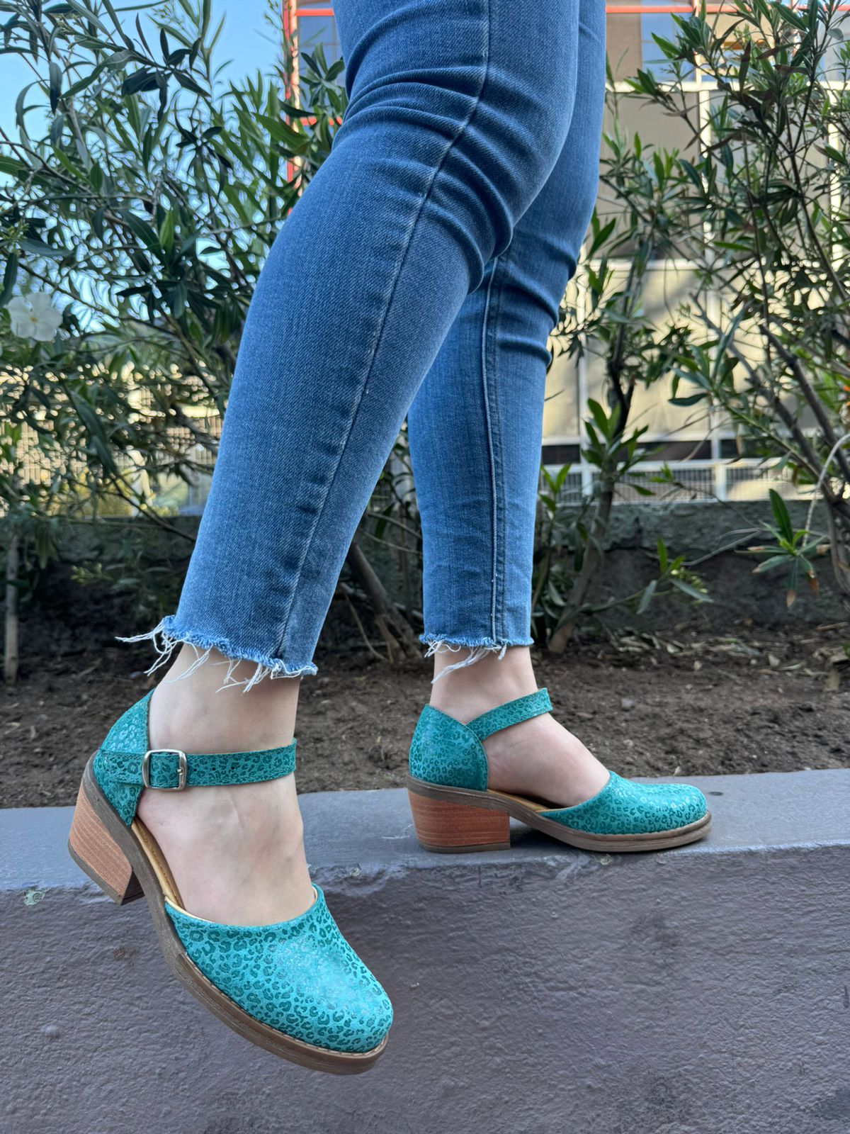 Coral Alto