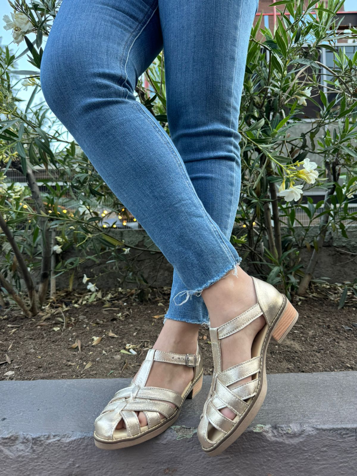 Hematita Baja