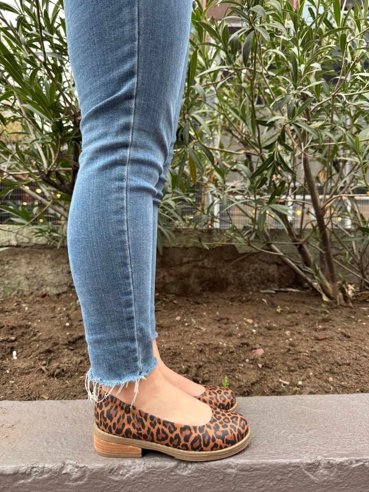 Ballerina Amatista